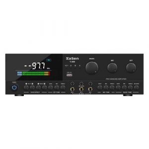 Kasen T-350 Karaoke Amplifier