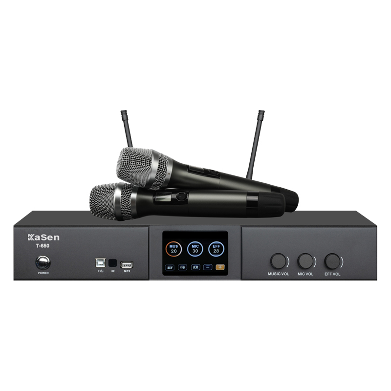 Kasen T-650 3 in 1 Karaoke Amplifier